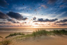 Sunset at Sea Bloemendaal von Martijn Kort