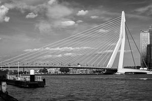 Rotterdam, Pont Erasmus. sur Lorena Cirstea