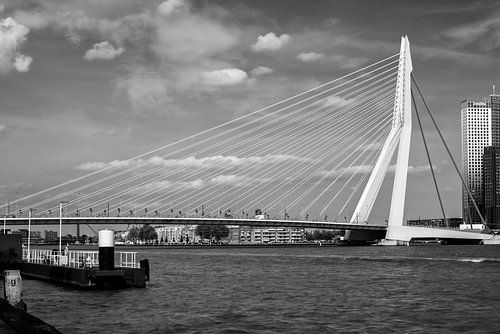 Rotterdam, Erasmus bridge.