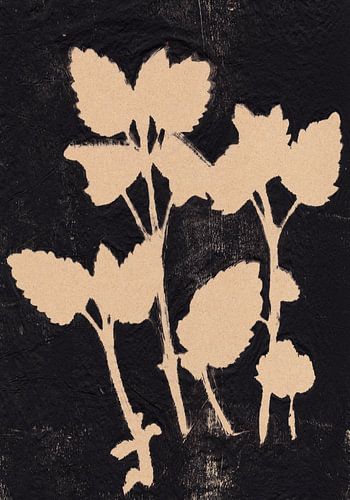 Feuilles blanches sur fond noir.