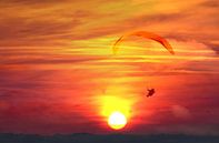 Paraglider par Irene Lommers Aperçu
