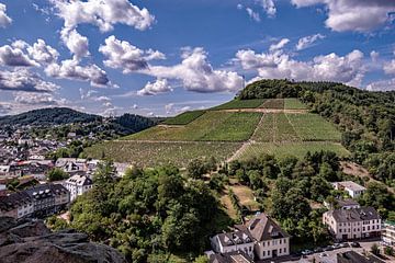 Wijngaarden in de Eifel van Thomas Riess