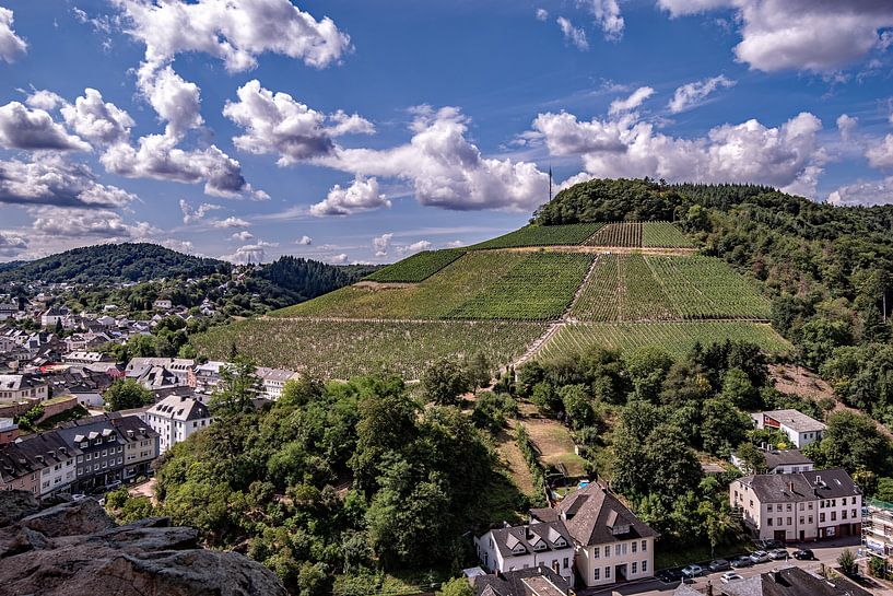 Weinberge in der Eifel von Thomas Riess