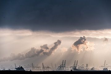 Maasvlakte, Rotterdam / Hoek van Holland