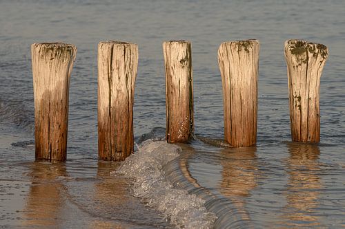 Une vague s'échoue sur la plage de Cadzand