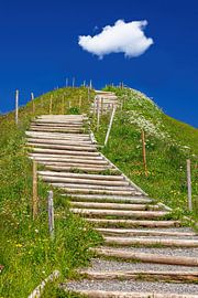 Way to heaven by Thomas Herzog