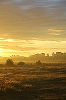 Morgenrot