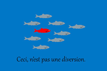 C'eci n'est pas une diversion. Dies ist kein Ablenkungsmanöver.