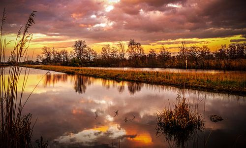 zonsondergang aan de Tienhovense plassen