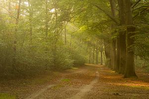 Der Herbst hält Einzug im Zoomland in Bergen op Zoom