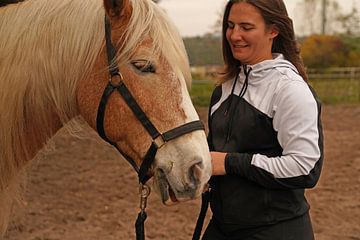 Photoshooting avec un Haflinger marron clair à la crinière beige