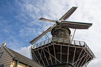 Sawmill d'Heesterboom (De Heesterboom) Leiden