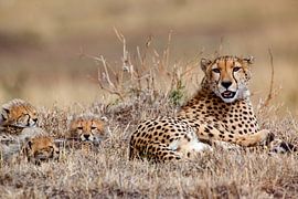 Mama mit 3 Kindern von Peter Michel