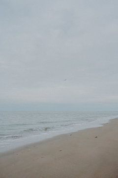 Möwe auf dem einsamen Strand von Deborah Hoogendijk - de Does