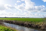 Zeeländische Landschaft bei Hulst mit klarem Himmel und Wolken. Endlose Felder und Wiesen, ein sonni von Leoniek van der Vliet Miniaturansicht