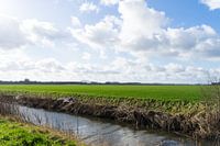 Zeeuws landschap bij Hulst met heldere lucht en wolken. Eindeloze velden en graslanden, zonnige dag.