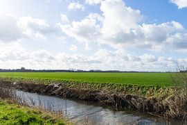 Zeeländische Landschaft bei Hulst mit klarem Himmel und Wolken. Endlose Felder und Wiesen, ein sonni von Leoniek van der Vliet