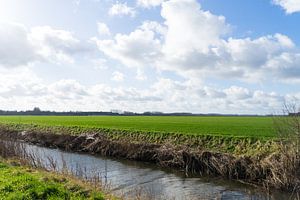 Paysage de Zélande près de Hulst avec un ciel clair et des nuages. Champs et prairies sans fin, jour