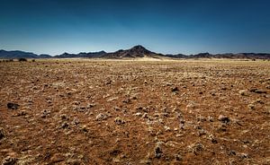 langs de weg in namibië van Ed Dorrestein