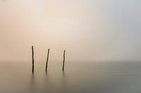 a foggy day...