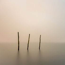 a foggy day... von Jan Mulder Photography