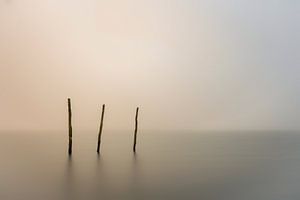 a foggy day... van Jan Mulder Photography