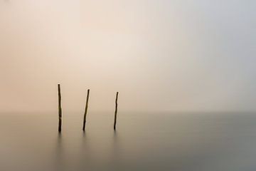 a foggy day... van Jan Mulder Photography