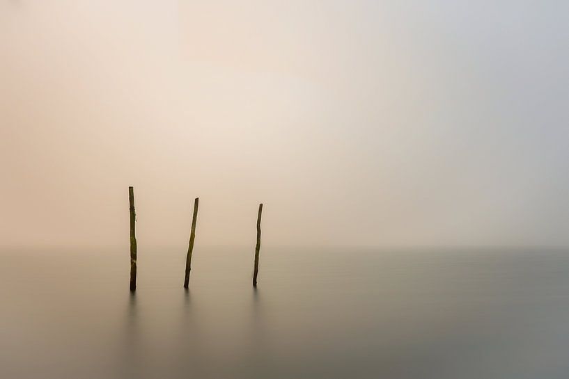 a foggy day... von Jan Mulder Photography