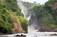 De Murchison watervallen in Uganda