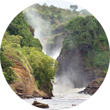De Murchison watervallen in Uganda van Achim Prill