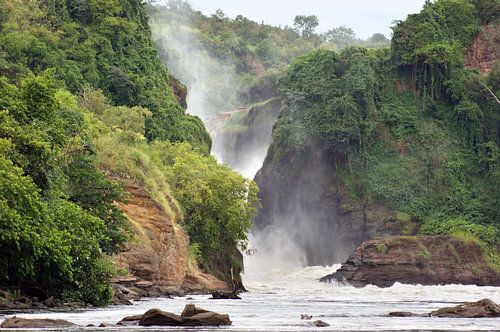 De Murchison watervallen in Uganda