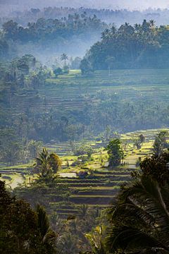 Landschap in Bali van YvePhotography