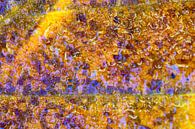 Macro van herfstblad in zonlicht met waterdruppels. van Mark Scheper thumbnail