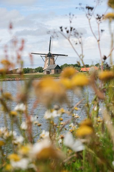 Mühle auf Texel von Map of Joy