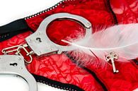 Handschellen, weiße Feder, rote Schlüpfer und Schlüssel von Kok and Kok Miniaturansicht