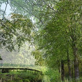 Weiland van Art. by Janine