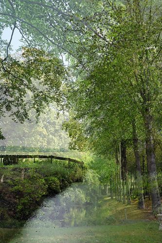 Abstracte Fotografie | Fine Art Nature | Weiland