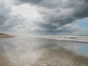 Het strand van Johanna Blankenstein thumbnail