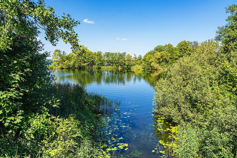 Uitzicht met meer en bomen in Stintenburg am Schaalsee van Rico Ködder