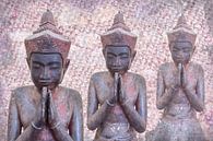 Meditatie. Devotie in drievoud, Cambodja van Rietje Bulthuis thumbnail
