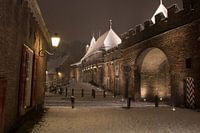 Koppelpoort in een winternacht