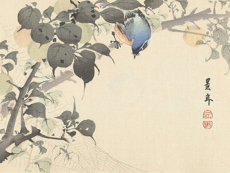 Imao Keinen - Blauw-oranje vogel op tak, kijkt naar spin (1892-1911) van Peter Balan