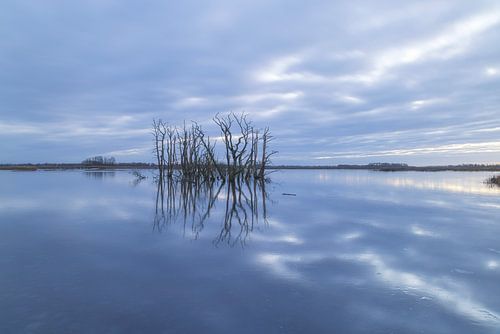 Tusschenwater Ecological Park - Zuidlaren - De Groeve (Netherlands)