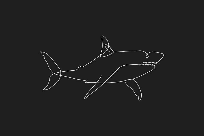 Shark Line Art by Walljar