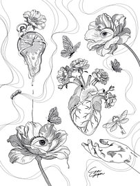 Curious Lines by Siri Slijpen
