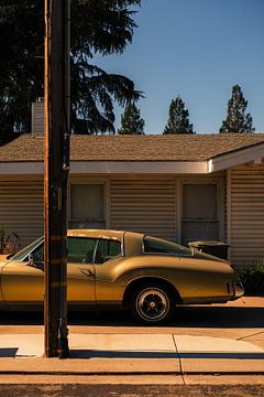 Buick Riviera von Piotr Snoch