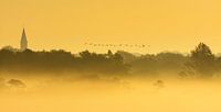 Oies survolant un paysage brumeux par Remco Van Daalen Aperçu