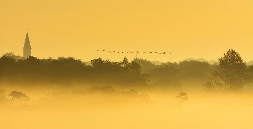 Oies survolant un paysage brumeux par Remco Van Daalen