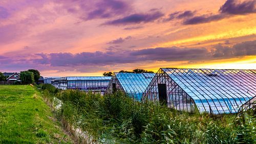 Glastuinbouw bij zonsondergang 