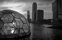 Rijnhaven Rotterdam